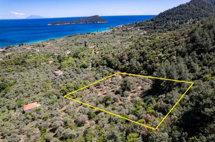 Teren construibil 6231 mp în Koinira, Thassos anunturi imobiliare Grecia