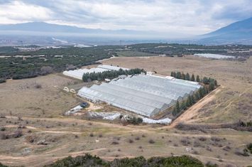 Unitate cu sere 15.000 mp în Sidirokastro anunturi imobiliare Grecia