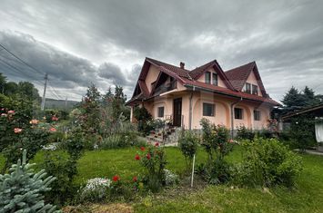 Vilă - 10 camere de vanzare TARGU-JIU - Gorj anunturi imobiliare Gorj