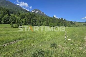 Teren intravilan Zarnesti Plaiul Foii anunturi imobiliare Brasov