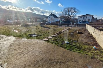 Vilă - 6 camere de vanzare CHINTENI - Cluj anunturi imobiliare Cluj