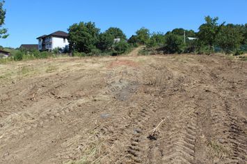 Teren intravilan Tomesti / Strada Soseaua Veche anunturi imobiliare Iasi