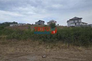 Teren Intravilan de vanzare CETATE - Alba anunturi imobiliare Alba
