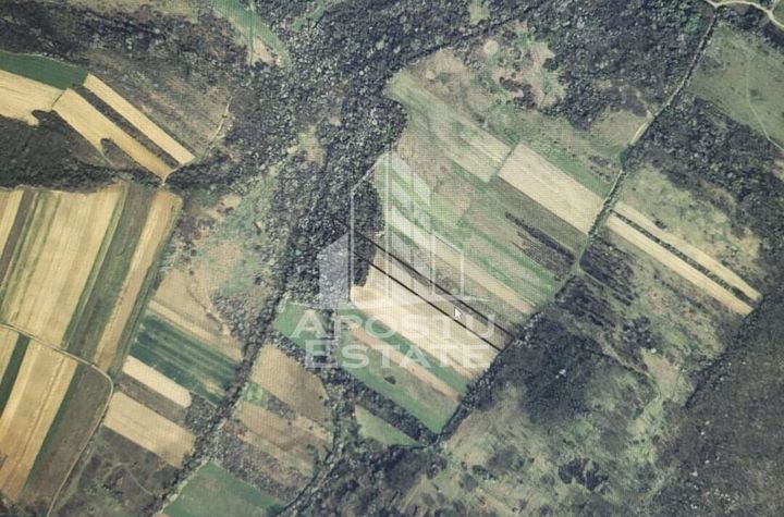 Teren mixt de 10.000 mp, ideal pentru investitie, Barsa anunturi imobiliare Arad