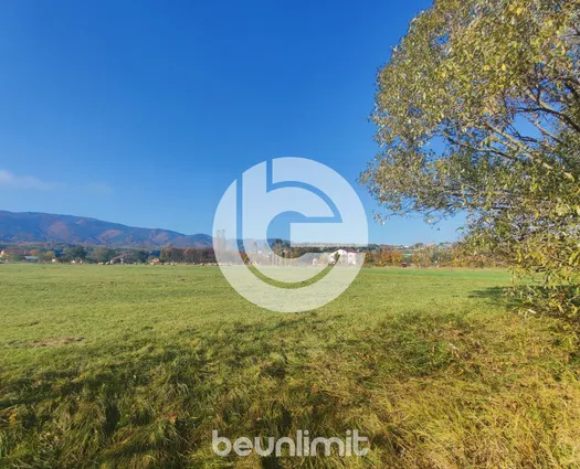 Teren Cisnadie, 4354 mp