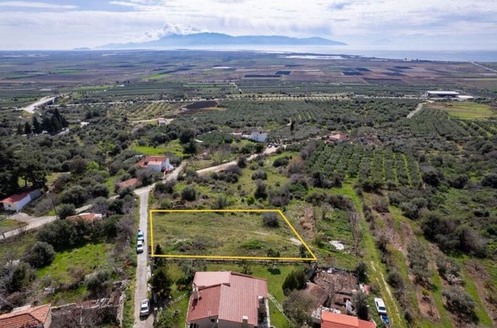 Teren construibil 1053,96 mp în Nea Komi (Pontolivado) anunturi imobiliare Grecia