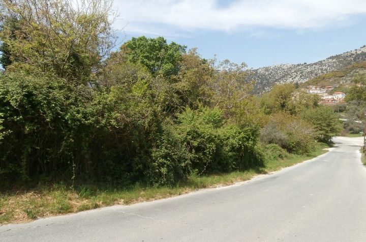 Teren construibil 300 mp în Rachoni, Thassos anunturi imobiliare Grecia