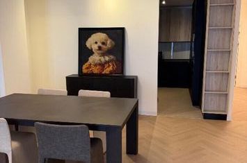 Apartament premim | prima utilizare | complex residential cu paza | Herastrau anunturi imobiliare Bucuresti
