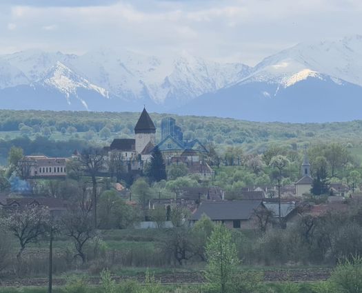 Casă 3 cam Hosman, 122 mp