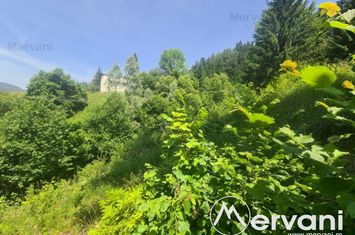 Teren Intravilan de vanzare BUSTENI - Prahova anunturi imobiliare Prahova