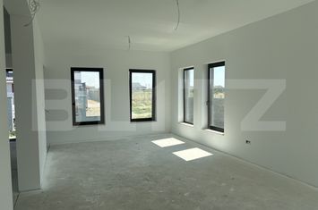 Vilă - 4 camere de vanzare MOSNITA VECHE - Timis anunturi imobiliare Timis