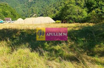 Teren Județul Vâlcea - Brezoi, Valea lui Stan anunturi imobiliare Valcea