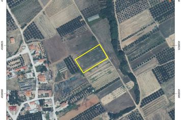 Teren agricol 3.075 mp în Gravouna, front 41 m anunturi imobiliare Grecia