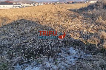 Teren Intravilan de vanzare CENTRAL - Alba anunturi imobiliare Alba
