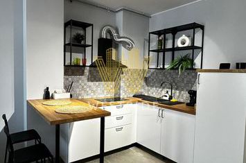 Apartament premium, de inchiriat, cu 2 camere, in Campeador City anunturi imobiliare Timis