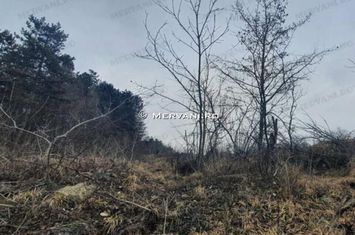 Teren de vânzare în Câmpina (zona Semicentrală) anunturi imobiliare Prahova