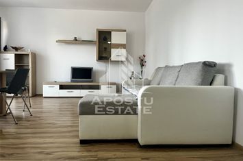 Apartament cu 3 camere, centrala proprie,Pet frendly, Chiarda Rosie anunturi imobiliare Timis