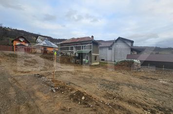 Casă - 3 camere de vanzare MIHOESTI - Alba anunturi imobiliare Alba
