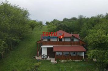 Casă - 5 camere de vanzare CETATE - Alba anunturi imobiliare Alba