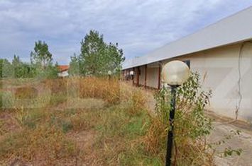 Teren de vanzare CERNELE - Dolj anunturi imobiliare Dolj