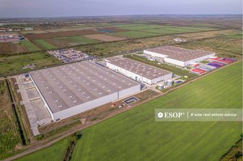 Spațiu industrial de inchiriat TIMISOARA - Timis anunturi imobiliare Timis