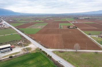Teren construibil 6073 mp în Ftelia anunturi imobiliare Grecia