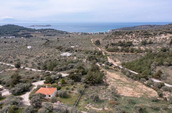 Teren construibil 1890 mp în Astrida, Thassos anunturi imobiliare Grecia