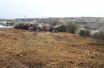 Teren Intravilan de vanzare PALEU  - Bihor anunturi imobiliare Bihor