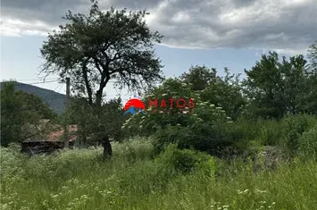 Teren Intravilan de vanzare VALEA DOFTANEI - Prahova anunturi imobiliare Prahova