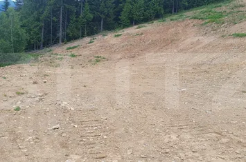 Teren de vanzare VATRA DORNEI - Suceava anunturi imobiliare Suceava