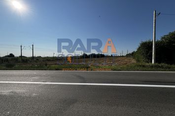 Teren între Cordun și E85 anunturi imobiliare Neamt