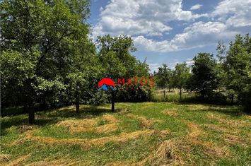 Teren Intravilan de vanzare BREAZA - Prahova anunturi imobiliare Prahova