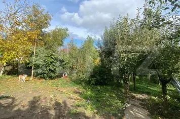 Vilă - 8 camere de vanzare SUCEAVA - Suceava anunturi imobiliare Suceava