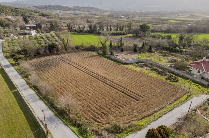 Teren agricol 4246 mp în Chrisokastro anunturi imobiliare Grecia