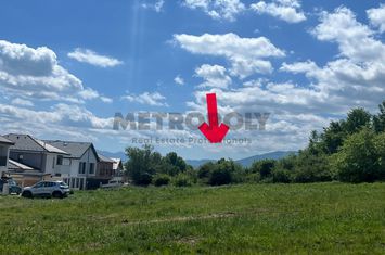 Teren de vanzare CISNADIE - Sibiu anunturi imobiliare Sibiu