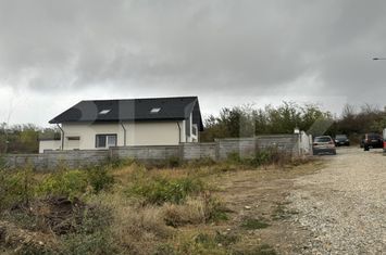 Teren de vanzare CARCEA - Dolj anunturi imobiliare Dolj