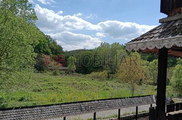 Proprietate turistică | Fost hotel | Teren 8900 mp | Aproape de Dunăre anunturi imobiliare Caras Severin