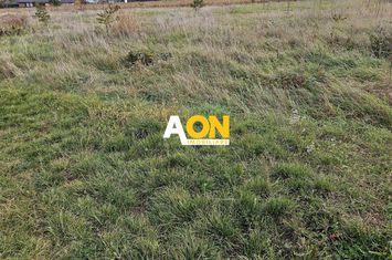 Teren 550 mp cu autorizatie de construire, Micesti anunturi imobiliare Alba