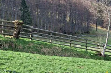 Teren Intravilan de vanzare BRAN - Brasov anunturi imobiliare Brasov