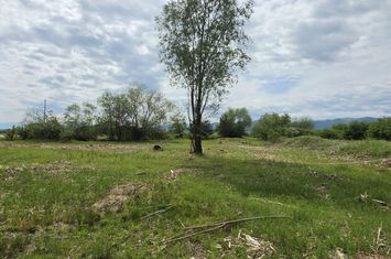 Teren de vanzare CRISTIAN - Sibiu anunturi imobiliare Sibiu