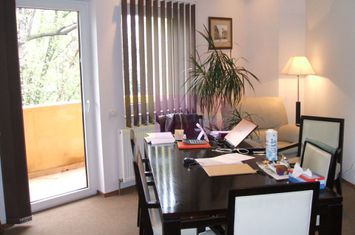 Vila individuala, singur in curte Cotroceni, 25 camere anunturi imobiliare Bucuresti