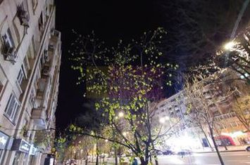 Vanzare apartament 2 camere in zona bd. Decebal stradal anunturi imobiliare Bucuresti