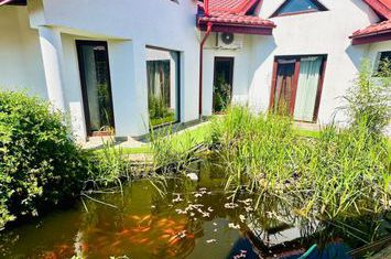 Casă - 5 camere de vanzare CISNADIE - Sibiu anunturi imobiliare Sibiu