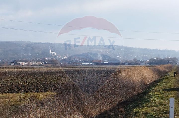 TEREN 8600 mp. INTRAVILAN Sărmașag  - SĂLAJ/ Șoseaua E81/ DN 1F / anunturi imobiliare Salaj
