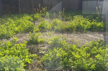 Casă - 3 camere de vanzare BOTOSANI - Botosani anunturi imobiliare Botosani
