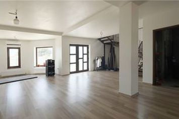 Vilă - 6 camere de vanzare AGIGEA - Constanta anunturi imobiliare Constanta