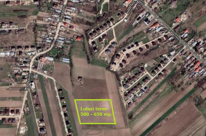 Teren Intravilan de vanzare SABARENI - Giurgiu anunturi imobiliare Giurgiu