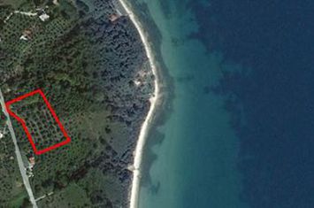 Teren construibil 6441 mp în Koinira, Thasos anunturi imobiliare Grecia