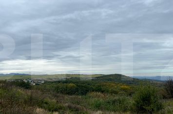 Teren de vanzare CIURILA - Cluj anunturi imobiliare Cluj