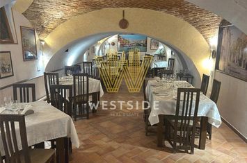 Spatiu comercial exceptional de inchiriat, in Piata Unirii anunturi imobiliare Timis